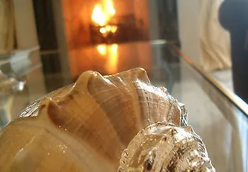 Le Luci Bed & Breakfast